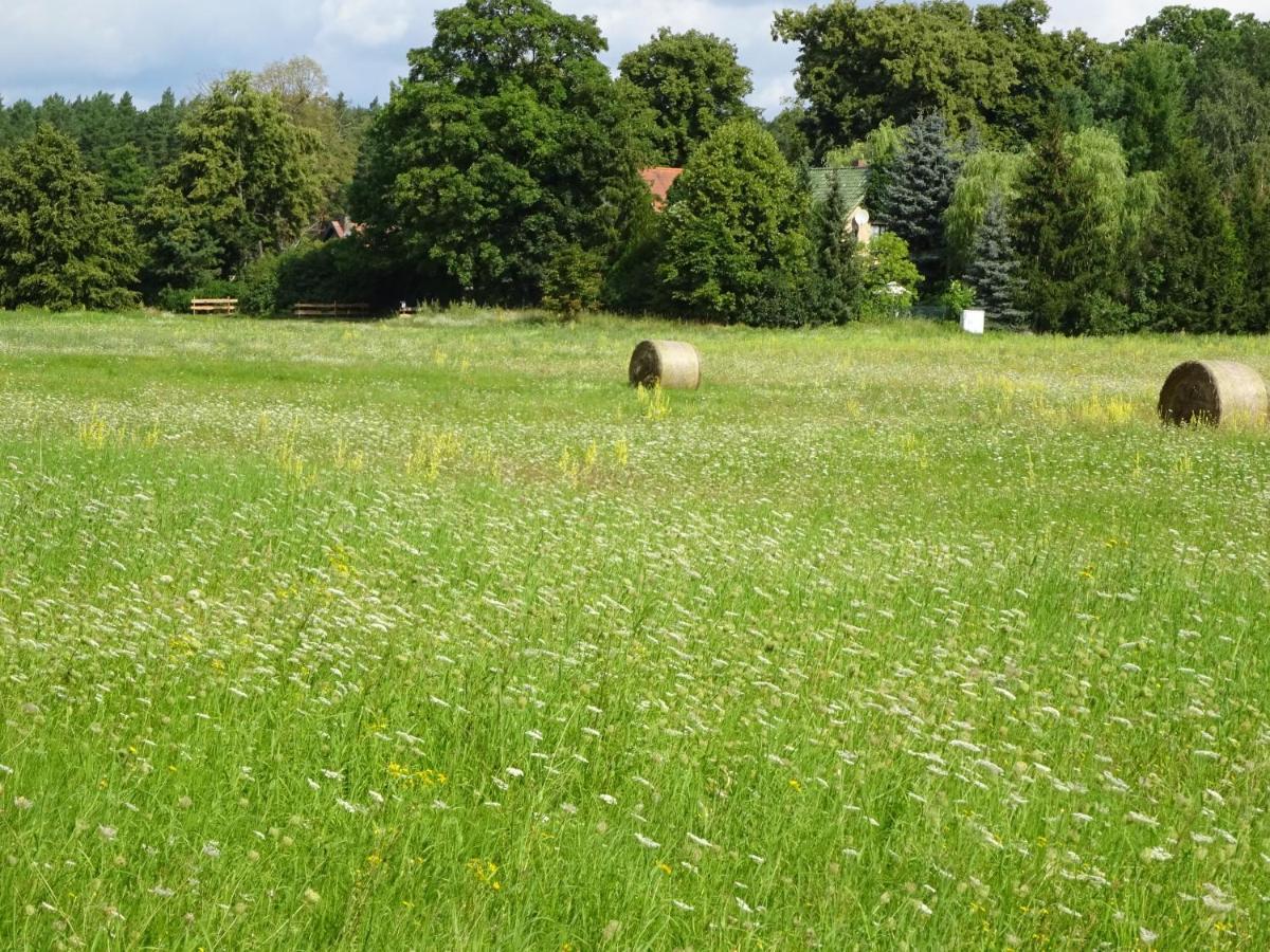 Ferienanlage Waschbaer Country Templin Esterno foto