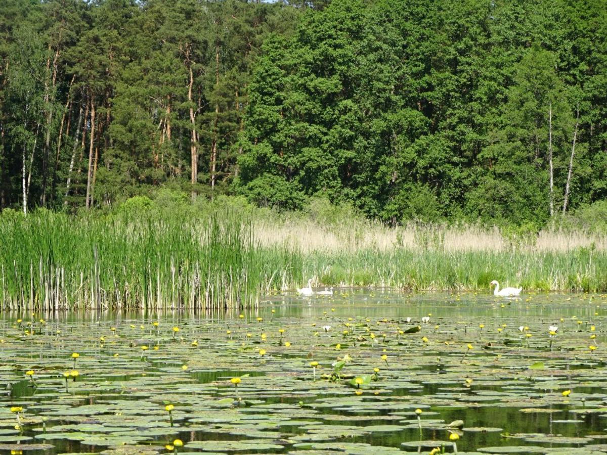 Ferienanlage Waschbaer Country Templin Esterno foto