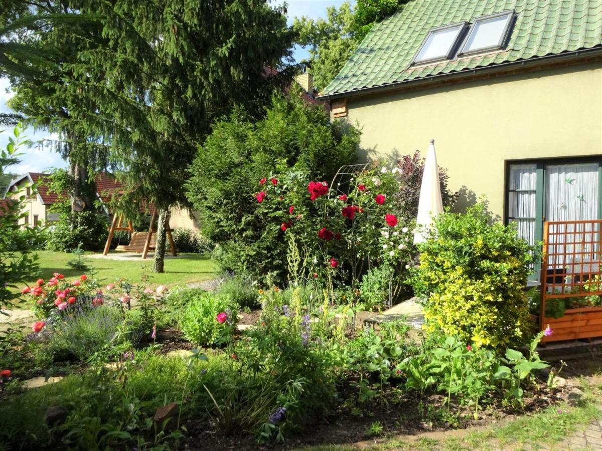 Ferienanlage Waschbaer Country Templin Esterno foto