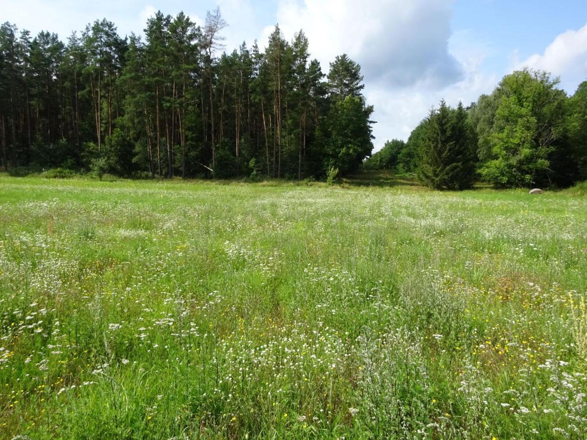Ferienanlage Waschbaer Country Templin Esterno foto